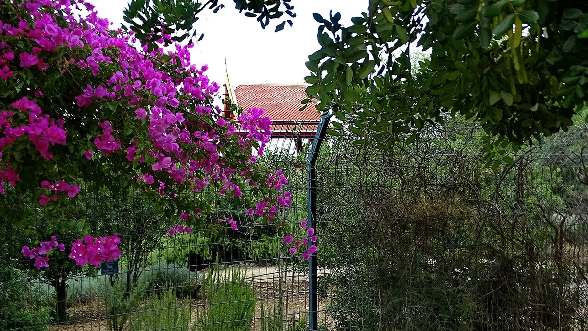 The Thai pagoda in the Ben Shemen forest, beyond its gate